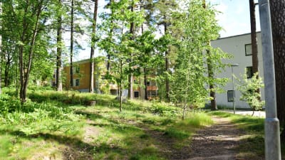 Bostadsområdet Jägarbacken i Ekenäs.  