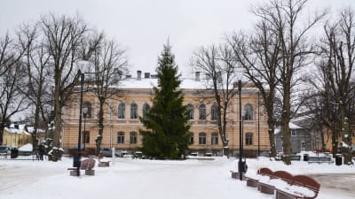 Julgran framför Borgå stadshus under vintern