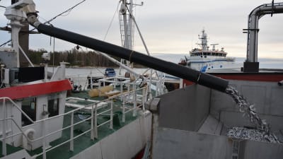 Trålare lossar strömming till fiskmjölsfabriken i Kasnäs.