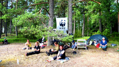 WWF:s talkoläger på Furuvik naturskyddsområde i Hangö.