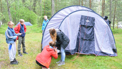 Scouter reser ett tält