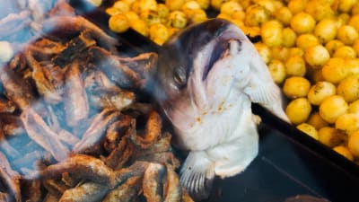 Fiskhuvud på ett grillkök på Salutorget