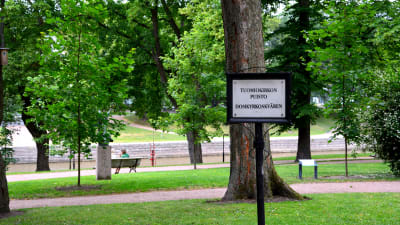 Domkyrkoskvären i Åbo