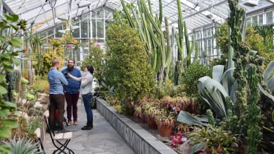 Otso Lähdeoja och Josué Moreno i sin Sonic Greenhouse