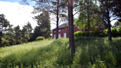 En gammal röd bondgård med vita knutar skymtar bakom grönskande växtlighet.