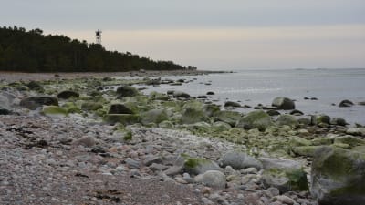 Stranden på Örö.