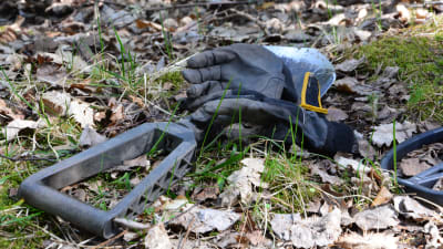 Handskaro ch fältspade i skogen