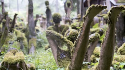 Mossiga statyer i olika jogapositioner mitt i en skog.