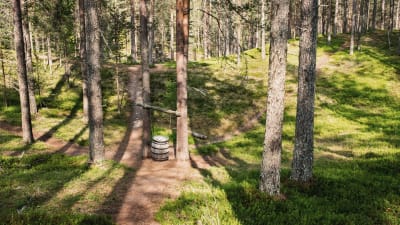 Kahden puun väliin ripustettu tynnyri, soitin nimeltä tynnyrihärkä, Soivassa Metsässä Suomussalmella.