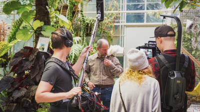 Ett inspelningsteam bestående av ljudman, regissör och fotograf står och filmar en man med en papegoja på axeln.