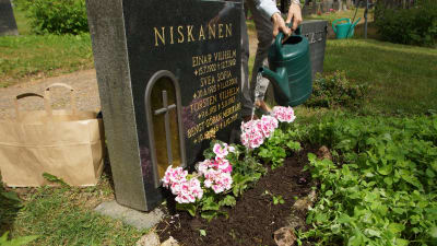 En gravsten med nyplanterade blommor och en kvinna som vattnar blommorna