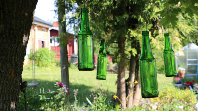 Gröna glasflaskor hänger i ett träd