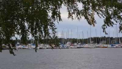 SSJ:s båthamn i Jakobstad