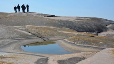 Några personer står på en klippa och ser över havet.