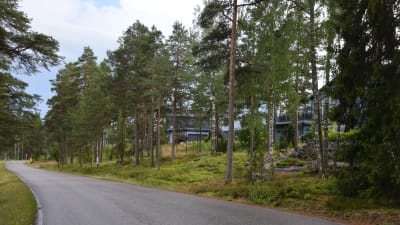 Hus längs med en väg i Störsvik i Sjundeå.