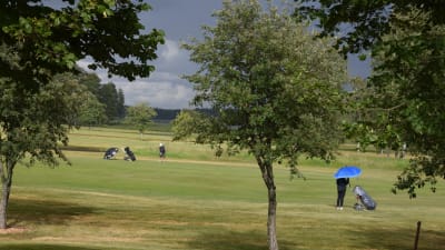 Golfare på en golfbana.