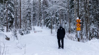 Snöig skogsväg. 