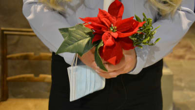 Ett par händer håller i en bukett med röd julstjärna. På handleden hänger ett munskydd.