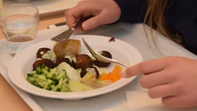 En tallrik med skolmat som består av fiskbullar och potatis.