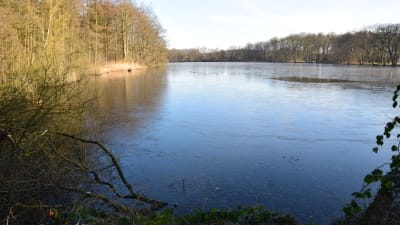 Vattenövningsområdet Lohmühlenteich