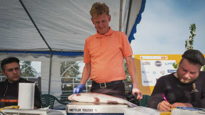 Ralf Snellman väger en av fisketävlingens foreller på en våg.