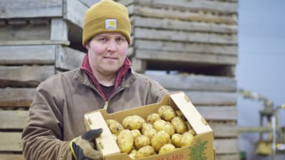 Personporträtt på Björn Lindström som håller en låda potatis