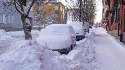 Bilar täckta av snö längs Näse-Juttes gata i Borgå.