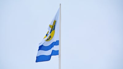 Flagga med Lovisa stads vapen vajar i vinden