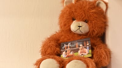 En orangebrun teddybjörn sitter uppe på en hylla. Den har en broschyr i famnen.