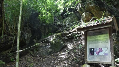 Ett rep ska hjälpa besökare att ta sig upp för en stenig sluttning till en grotta. De så gott som dagliga regnskurarna gör att sluttningen ofta är farligt slipprig.
