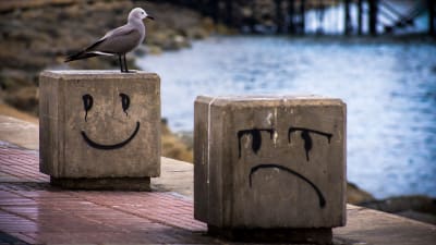 Merenrannassa on kaksi betonikuutiota, joista toisen kylkeen on maalattu iloinen ja toiseen surullinen naama. Iloisen kuution päällä seisoo merelle katsova lokki.