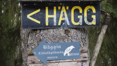Skyltar med texterna HÄGG och Häggin eläintäyttämön museo.