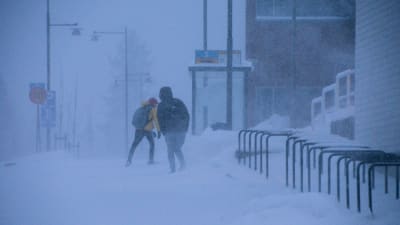Ungdomar i snöyra
