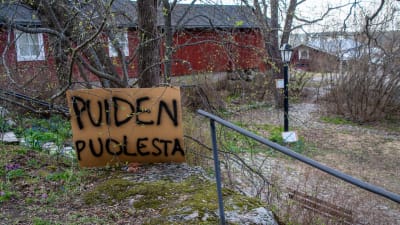 Träd i en park. Lutat mot trädet finns en stor skylt där det på finska står "för träden".