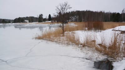 Örnviksstrand februari 2019
