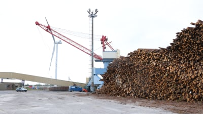 En hög med massaved står på kajen i hamnen i Kristinestad. I bakgrunden syns en stor kran samt ett vindkraftverk.