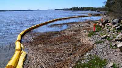 Kloakvatten har läckt ut i havet i Hammars i Borgå våren 2018