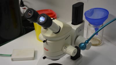 Närbild på mikroskop i laboratorium. 