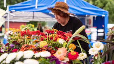 Kukkakuhhauksen myyntikojussa, kukkakimppujen takana, olkihattupäinen nainen järjestelee kukkasia.