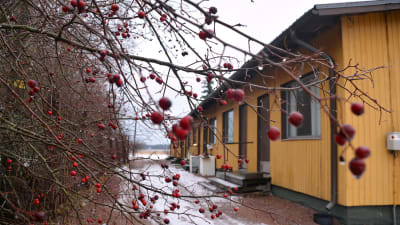 Mörskomgatan 10 i Lovisa