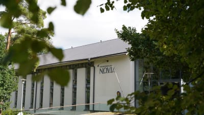 en somrig bild på yrkeshögskolan Novia genom björklöv.