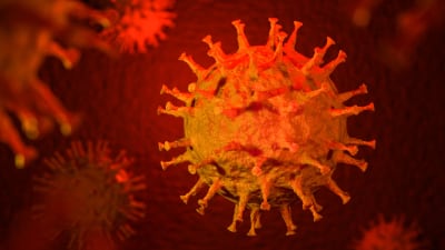 Det nya coronaviruset Wuhanvirus(2019nCoV). 