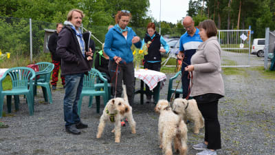 Tre veteterriers ska genomgå ett rovdjurstest. 