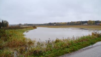 Åker under vatten i Hommansby, Lovisa