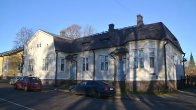 Katthult daghem i Borgå.