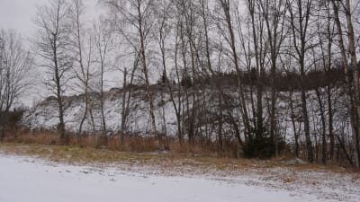 Föreningen har låtit bygga bullervallar runt området