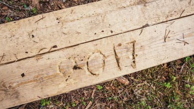 Pitkospuuhun veistetty vuosiluku 2017
