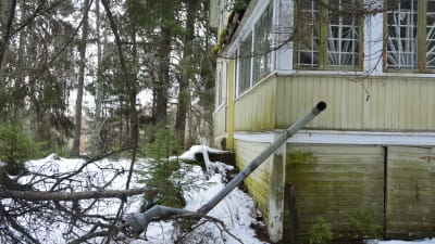 Långsamt men säkert förfall. Nelins villa Paradiset.