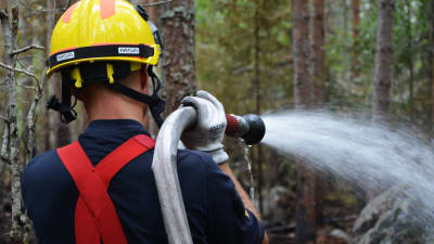 Brandman släcker eld i en skog