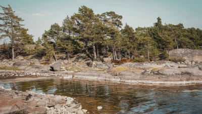 Kalliota ja rantaa Dalskär-saarella, Saaristomerellä, toukokuussa.
